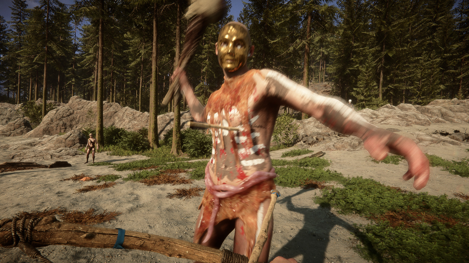Sons of the Forest environment